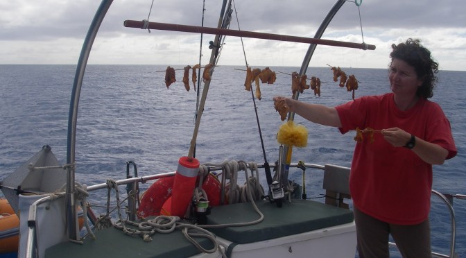 Drying fish in Minerva Reef